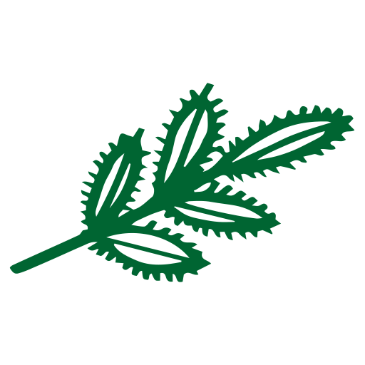 urtica