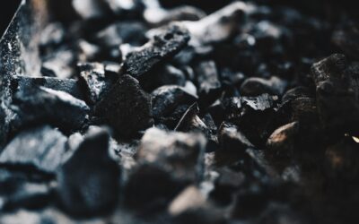 Filha de Carvão e Ouro Negro -Um conto de extrativismo e ecologia-