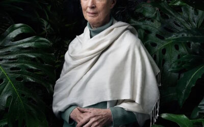 O Grande Poder – Espiritual Na Missão de Jane Goodall – Parte I