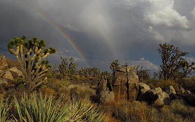 Arco-íris no Deserto